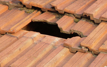 roof repair Cefn
